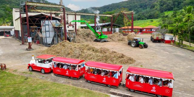 Visite en train Distillerie Maison La Mauny Rivière-Pilote Martinique