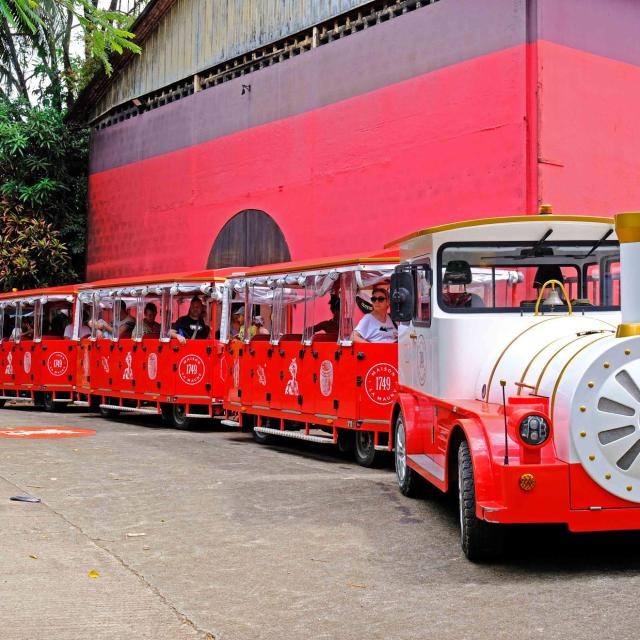 Visite en train Distillerie Maison La Mauny Rivière-Pilote Martinique