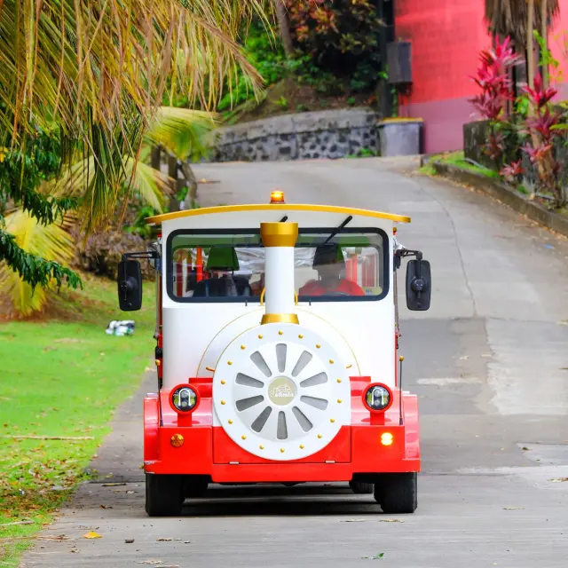 Visite en train Distillerie Maison La Mauny Rivière-Pilote Martinique