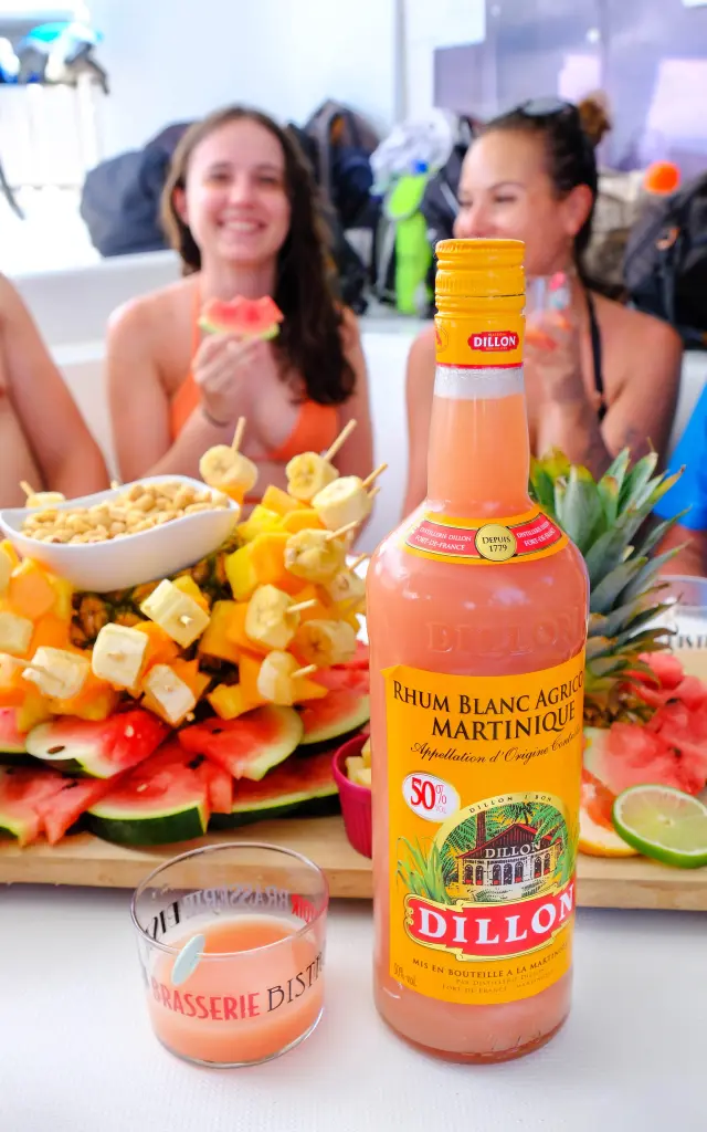 Planteur Catamaran Aliotis Les Anses-d'Arlet Martinique