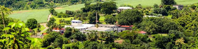 Distillerie Depaz Saint-Pierre Martinique