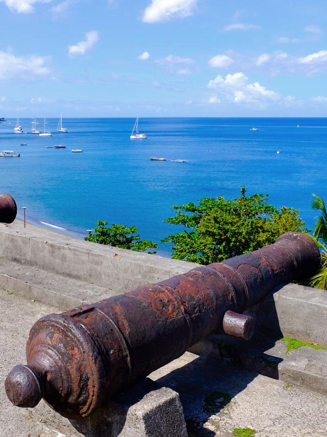 Canons Ville Mémorial de la catastrophe de 1902 Musée Franck A.Perret Saint-Pierre Martinique