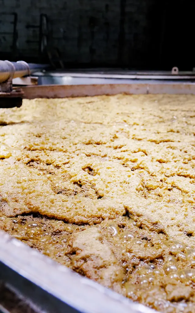 Cuve de fermentation Distillerie La Favorite Lamentin Martinique