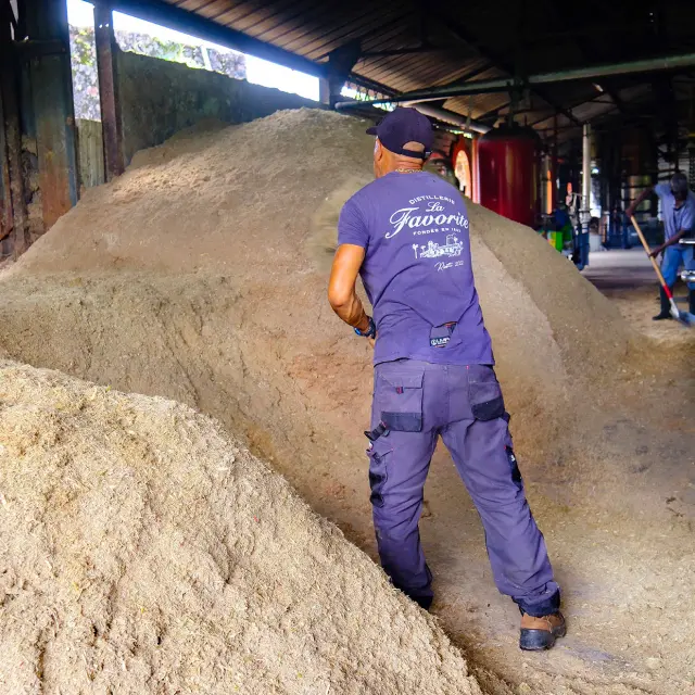 Distillerielafavorite9 Lamentin Martinique