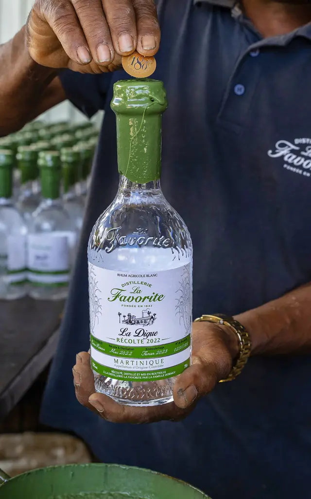 Rhum Distillerielafavorite Lamentin Martinique