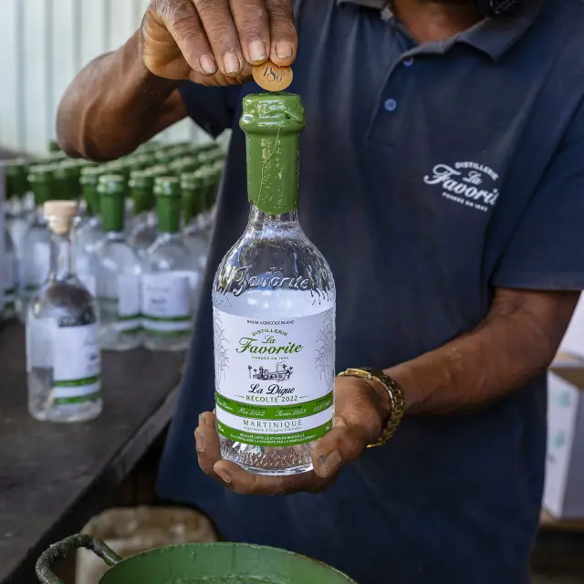Rhum Distillerie La Favorite Lamentin Martinique