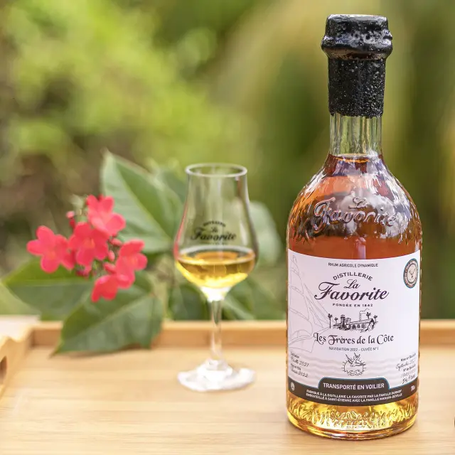 Lesfreresdelacote3 Distillerielafavorite Lamentin Martinique