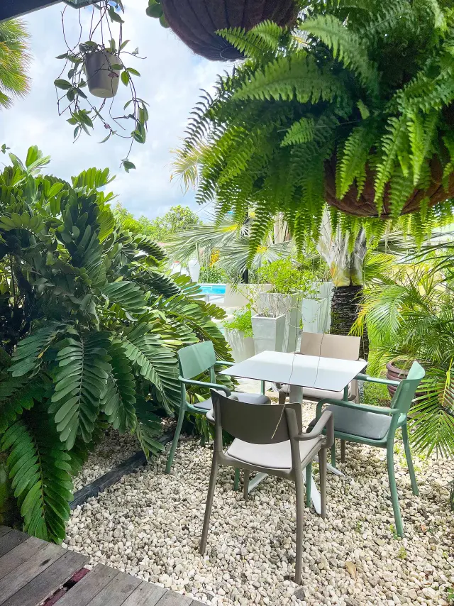 Jardin5 Ysnay Lamentin Martinique