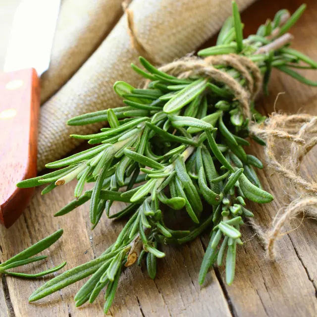 Romarin Épice Martinique