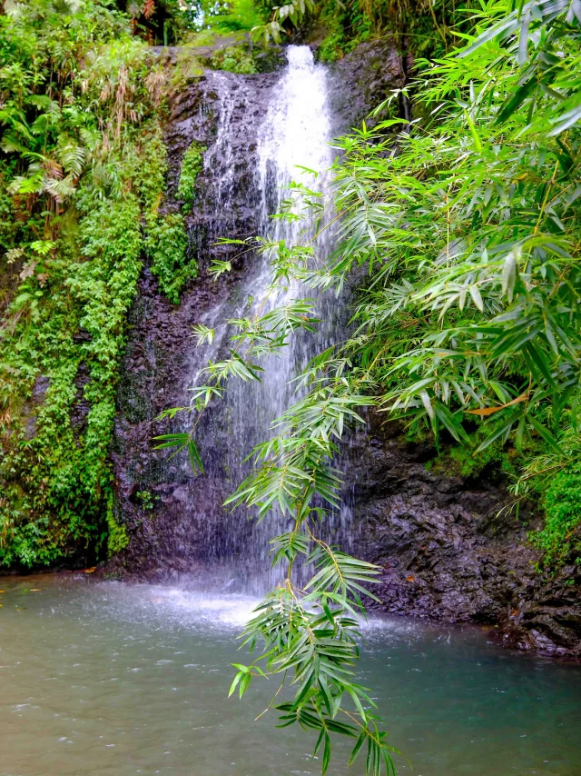 Cascade du Saut Gendarme Fond-Saint-Denis Martinique