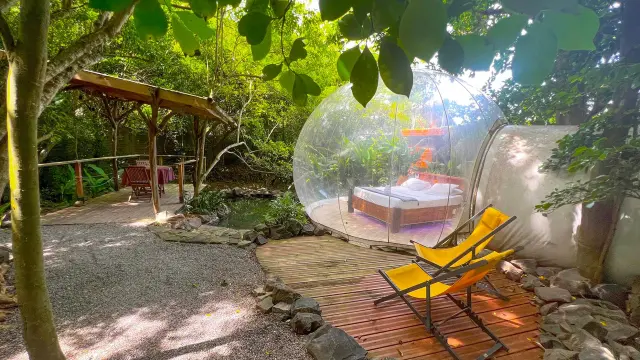 Bulledeau Domainedesbulles Vauclin Martinique