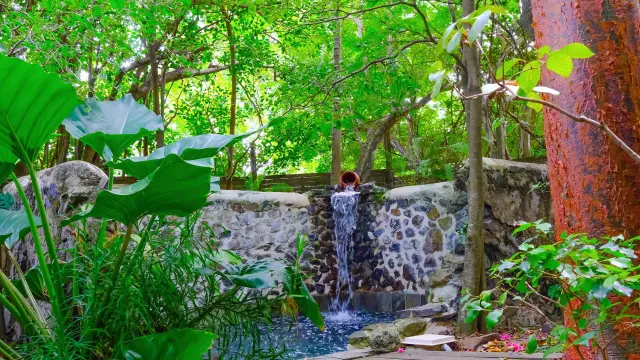 Bulleminerale6 Domainedesbulles Vauclin Martinique