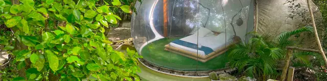 Bulle robinson Domaine des bulles Vauclin Martinique