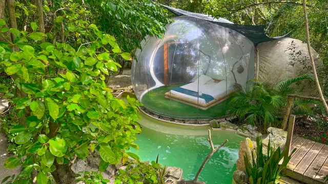 Bullerobinson Domainedesbulles Vauclin Martinique