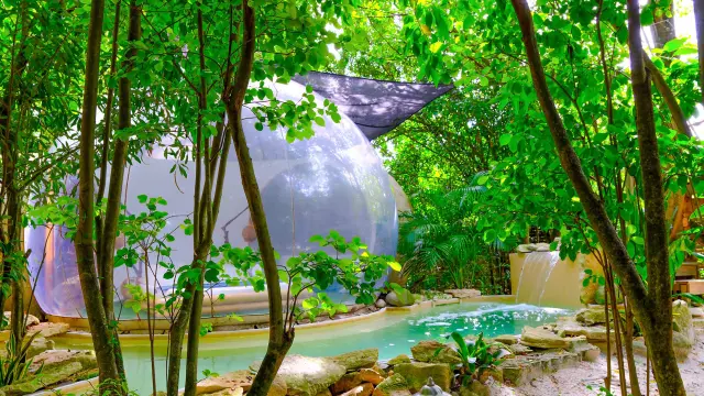 Bulle robinson Domaine des bulles Vauclin Martinique