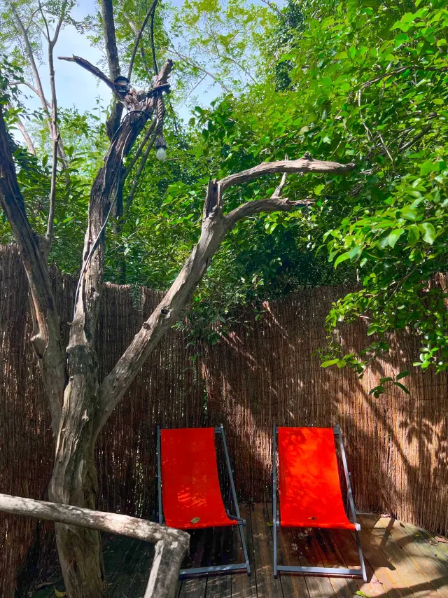 Bullerobinson7 Domainedesbulles Vauclin Martinique