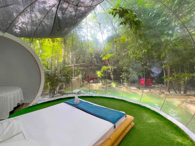 Bullerobinson8 Domainedesbulles Vauclin Martinique