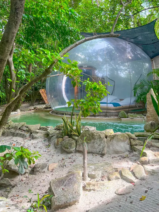 Bullerobinson9 Domainedesbulles Vauclin Martinique