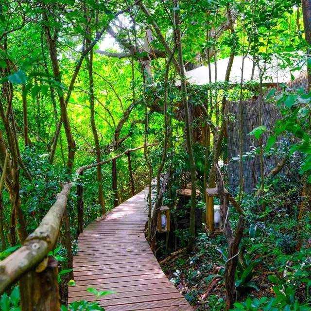 Domainedesbulles Vauclin Martinique