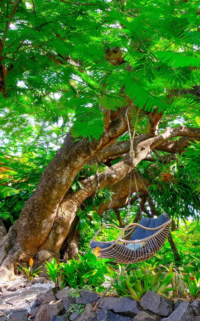 Domaine des bulles Vauclin Martinique