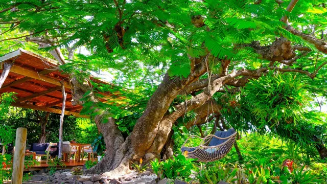 Domainedesbulles3 Vauclin Martinique