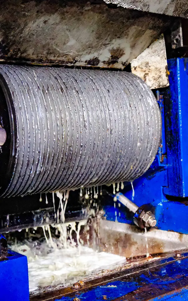 Broyage Distillerie Hbs Habitationbeausejour Grandriviere Martinique Copy