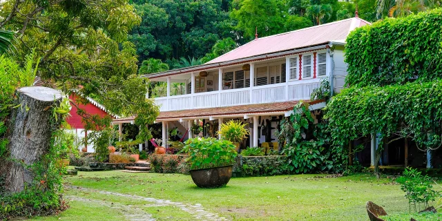 Habitation Beauséjour Grand rivière Martinique