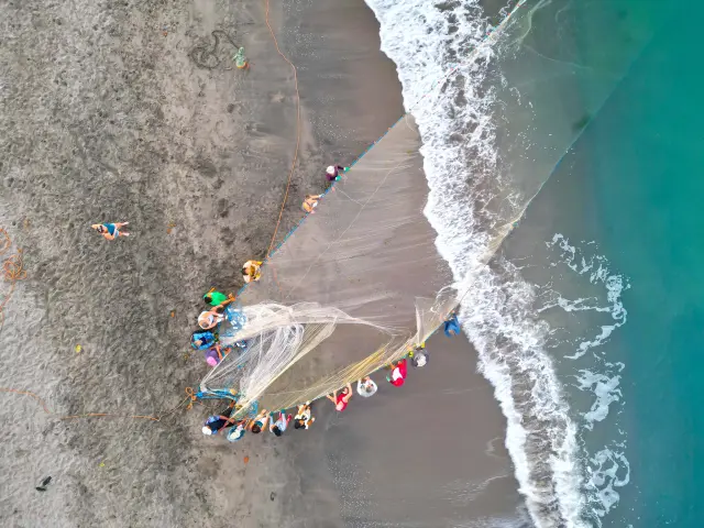 Pêche à la senne Filet Carbet Martinique