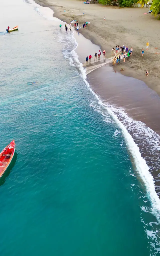 Pechealasenne9 Filet Carbet Martinique