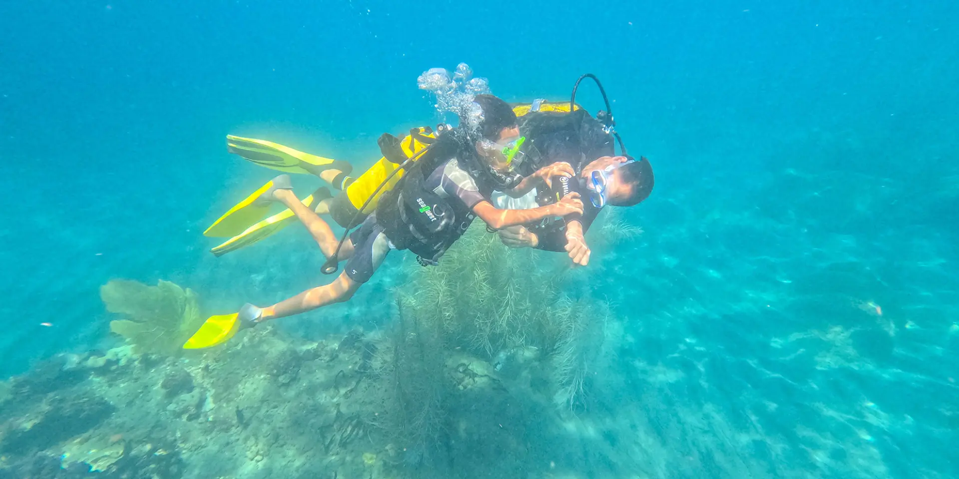 Bapteme2 Plongee Apapadlo Saintpierre Martinique