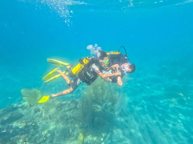 Baptême Club de plongée A Papa D'lo Saint-Pierre Martinique