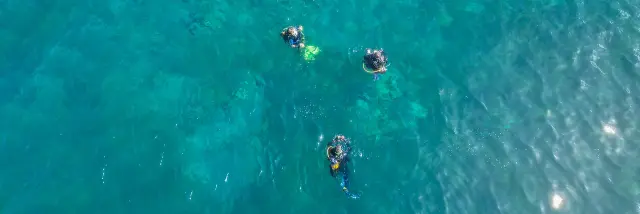 Palanquee2 Plongee Apapadlo Saintpierre Martinique