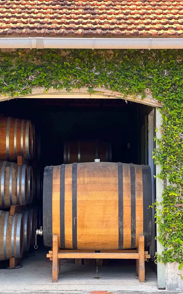 Chai Rhum Distillerie A1710 Le François Martinique