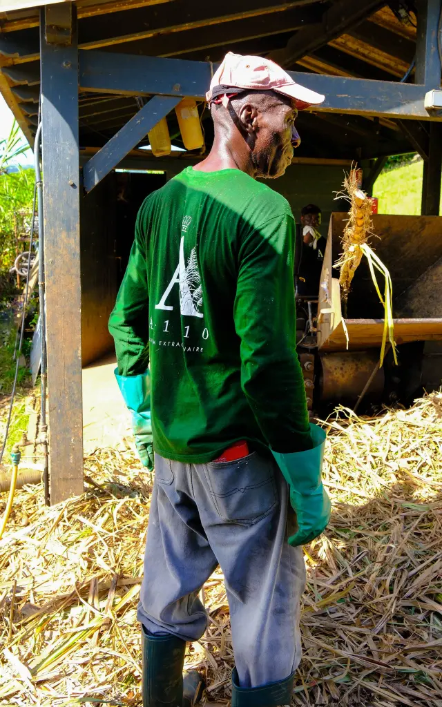 Cannes10 Distilleriea1710 Lefrancois Martinique