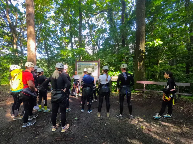 Foretattila3 Rivieremitan Bureaudelarandonneeetducanyoning Mornevert Martinique