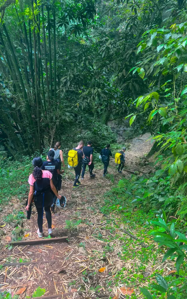 Foret6 Riviere Absalon Bureaudelarandonneeetducanyoning Fortdefrance Martinique
