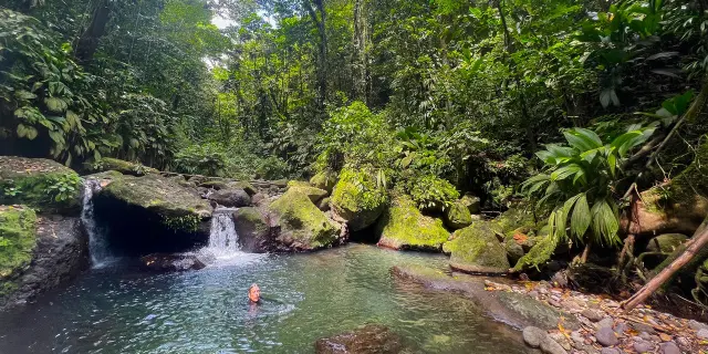 Baignade Canyoning Absalon Bureau de la randonnée et du canyoning Fort-de-France Martinique