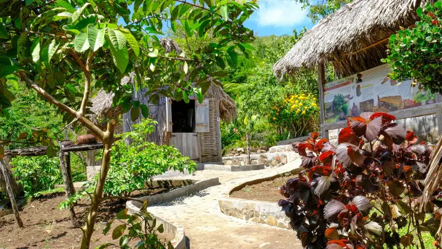 La Savane des Esclaves Les Trois-îlets Martinique