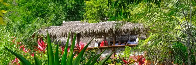 Bar à jus La Savane des Esclaves Les Trois-îlets Martinique