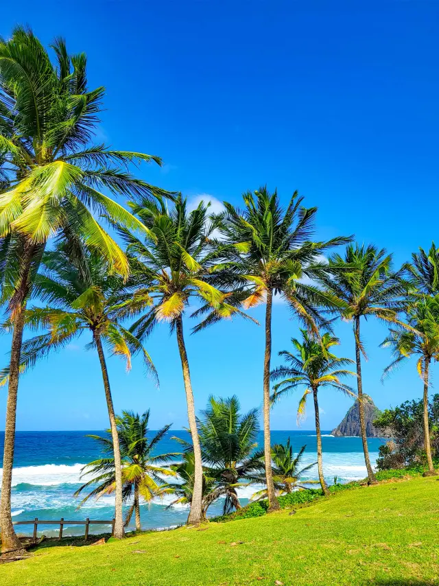 Paindesucre Plagedelansecharpentier Restaurantlepointdevue Saintemarie Martinique