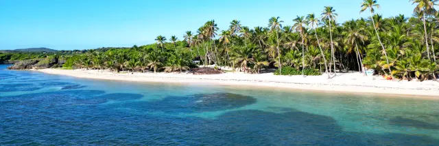 Plage de l'Anse Michel Cap Chevalier Sainte-Anne Martinique
