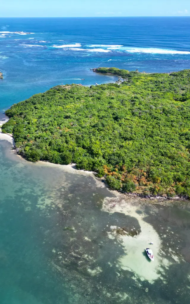 Bébêche Fond blanc de l'ilet Chevalier Sainte-Anne Martinique