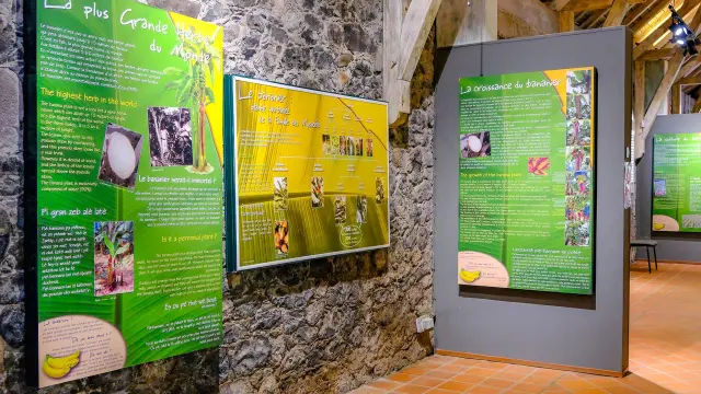 Musée de la banane Sainte-Marie Martinique