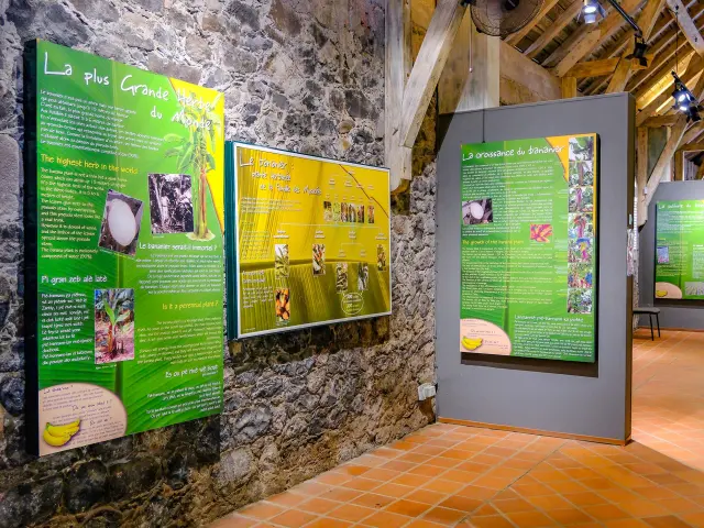 Museedelabanane14 Saintemarie Martinique