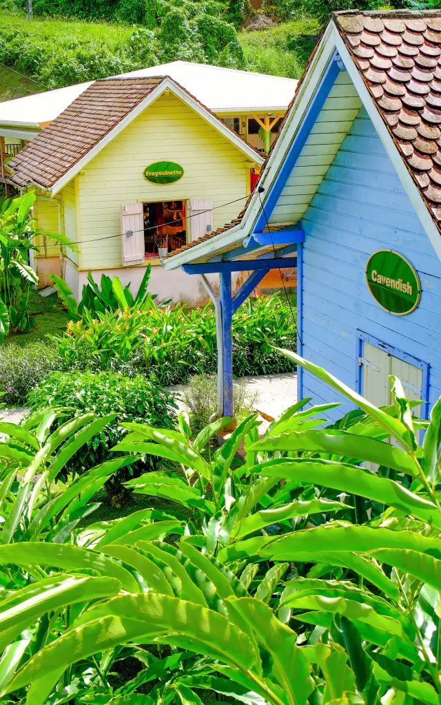 Museedelabanane12 Saintemarie Martinique