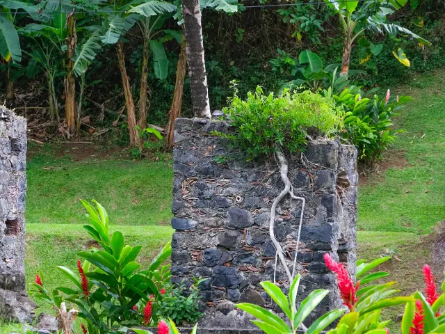 Musée de la banane Sainte-Marie Martinique