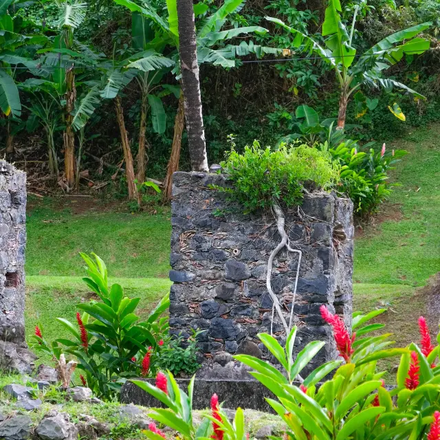 Museedelabanane10 Saintemarie Martinique