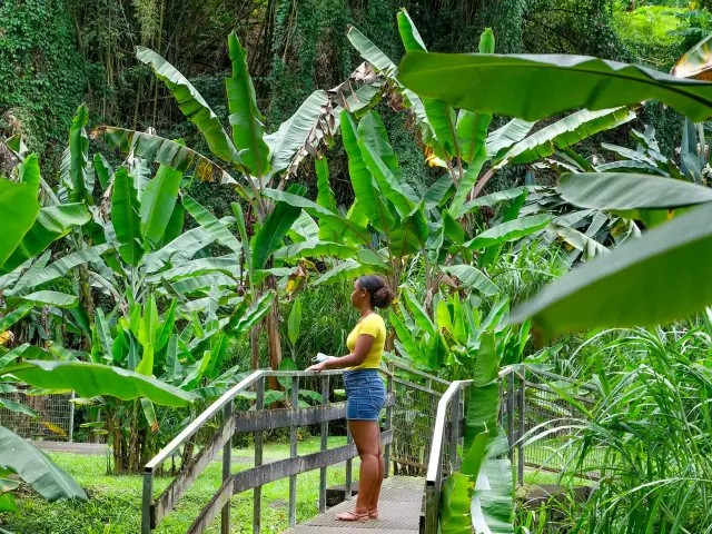 Musée de la banane Sainte-Marie Martinique