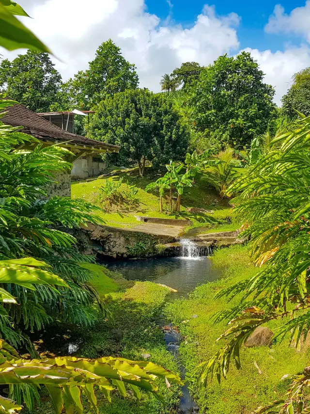 Musée de la banane Sainte-Marie Martinique