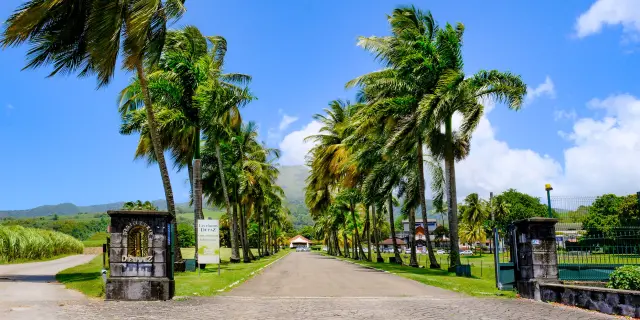 Distilleriedepaz5 Habitationlamontagne Saintpierre Martinique